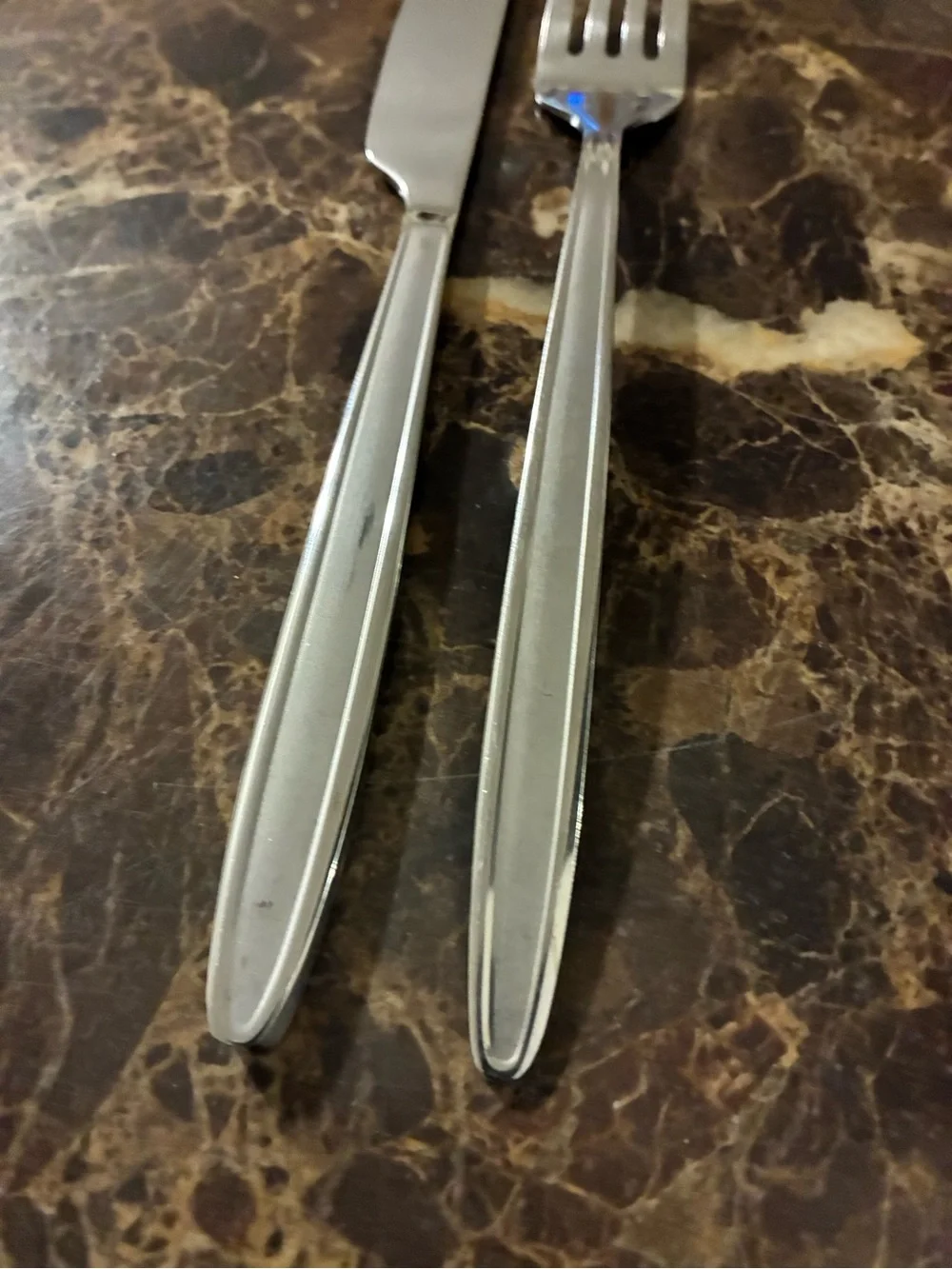 Stainless Steel Satin Handle Dinner Knife and Dinner Fork Cambridge